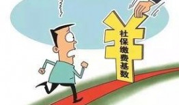 廊坊最新社保爆料,最新调整与福利待遇一览”